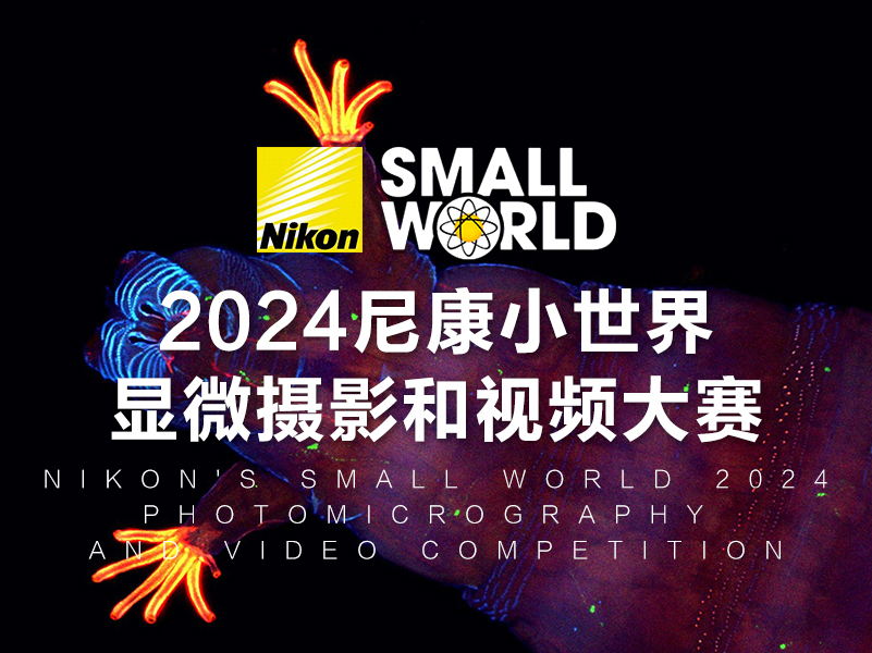 2024尼康小世界显微摄影和视频大赛（截稿2024年4月20日）