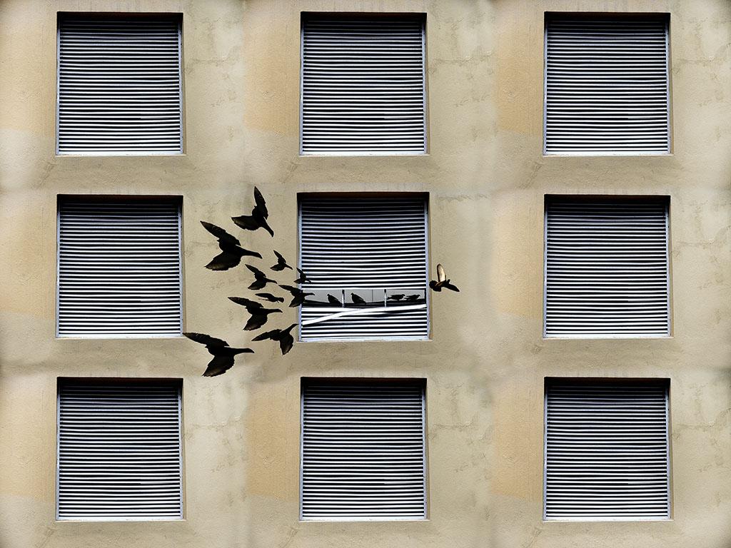 揭晓！2025好望角国际摄影巡回赛，张玉华、LING JYI CHAO等摘金