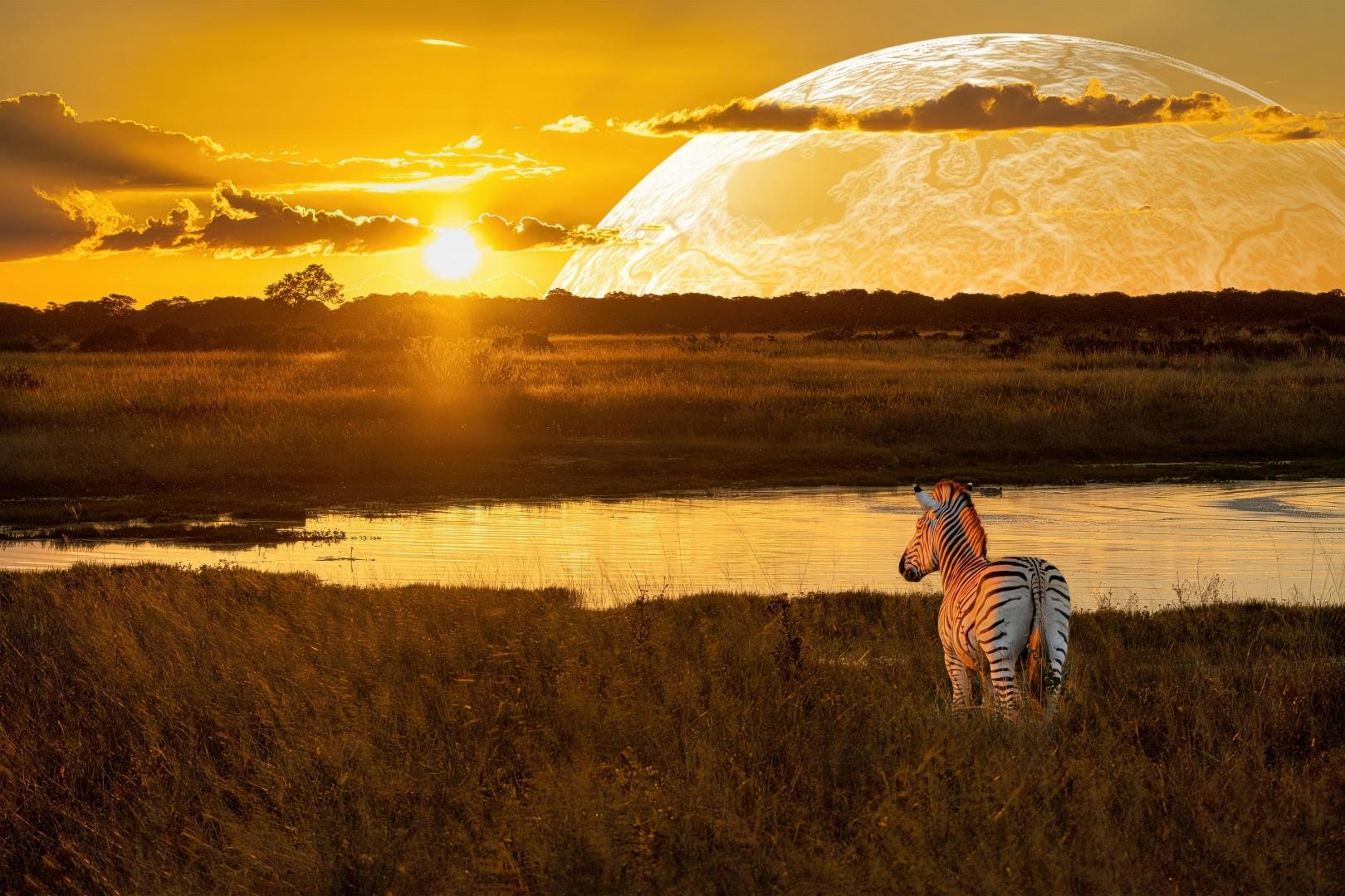 2026年2月 —— 晶宸计划主办或代理的国际摄影赛事