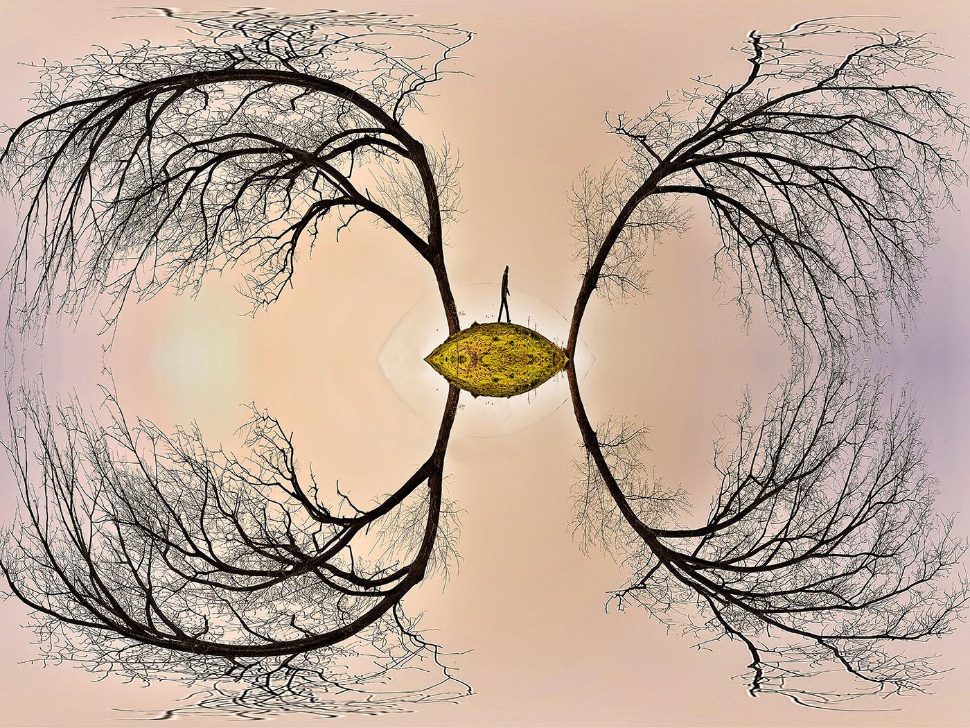 揭晓！2025第二届奥林匹克圣火国际摄影巡回赛，马伟华、张玉华等摘金